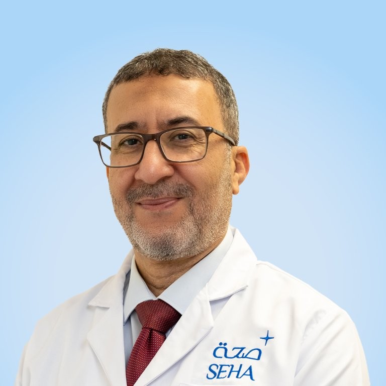 Dr. Hesham Hussien Hamza Aly