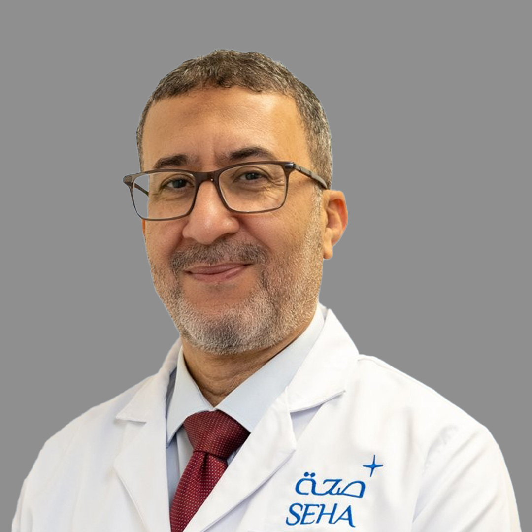 Dr. Hesham Hussien Hamza Aly